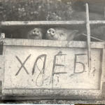 А эти - наши!